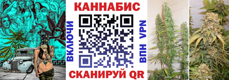 Бошки Шишки планчик Олёкминск